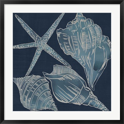 Framed Marine Shells III Print