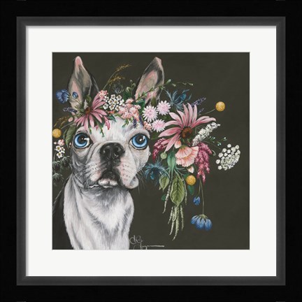 Framed Boston Terrier Print