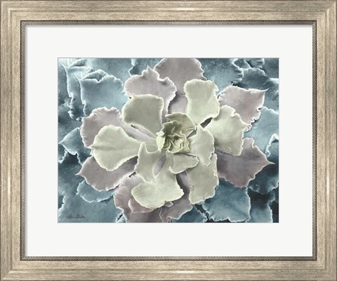 Framed Multi-color Succulent Print