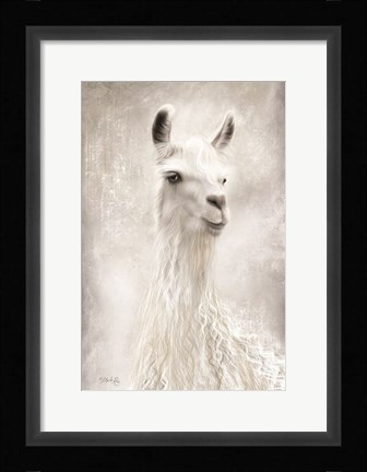 Framed Lulu the Llama Up Close Print