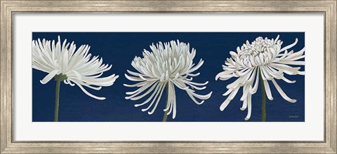 Framed Morning Chrysanthemums V Dark Blue Print