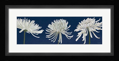 Framed Morning Chrysanthemums V Dark Blue Print