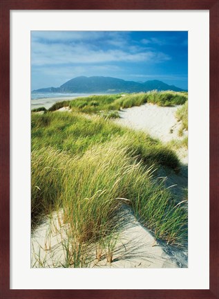 Framed Oregon Dunes Grass Print