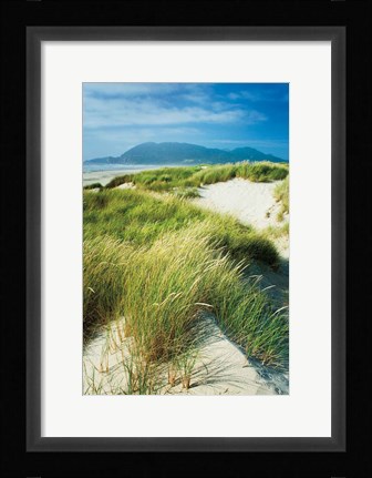 Framed Oregon Dunes Grass Print
