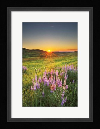 Framed Prairie Sunrise Print