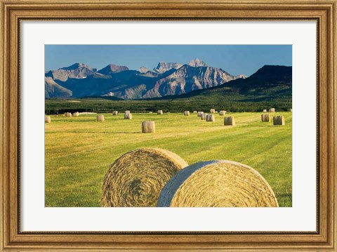 Framed Waterton Hay Bales Print