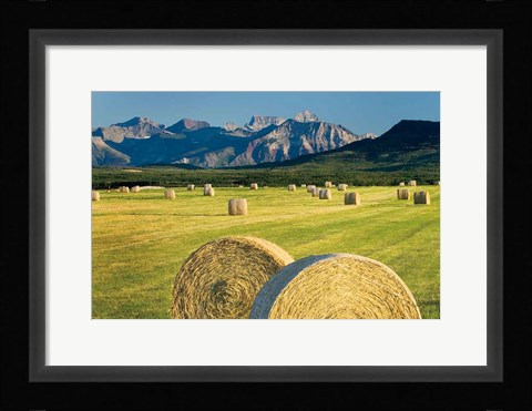 Framed Waterton Hay Bales Print