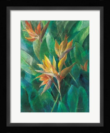 Framed Bird of Paradise II Print