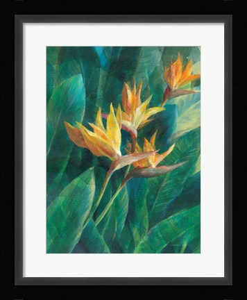 Framed Bird of Paradise I Print