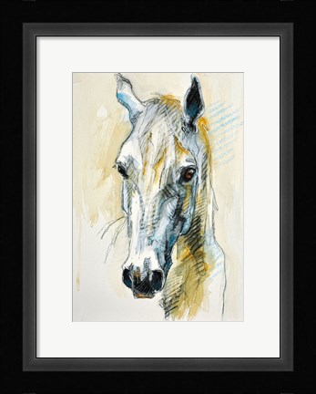 Framed Horse Head Print