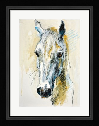Framed Horse Head Print