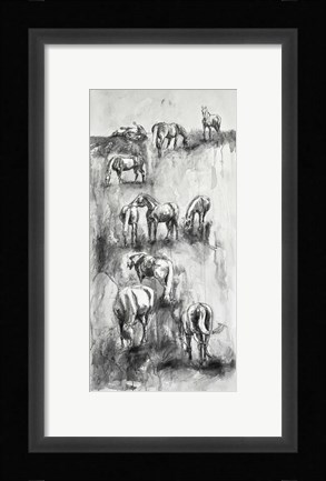 Framed Equine Life 4 Print