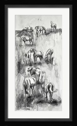 Framed Equine Life 4 Print