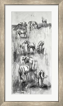 Framed Equine Life 4 Print
