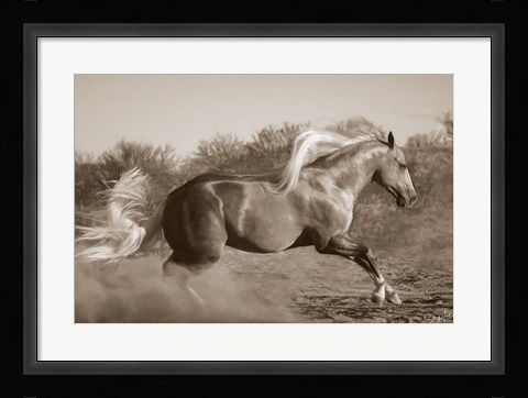 Framed Platinum Centerfold (sepia) Print