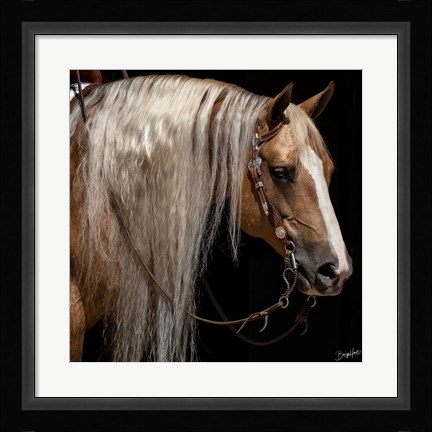 Framed Platinum in Bridle Print