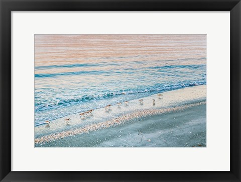 Framed Early Birds Print