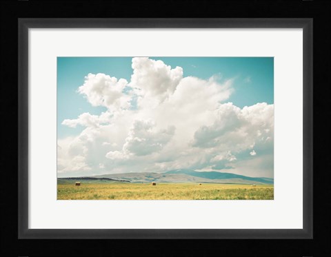 Framed First Cut Print