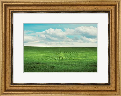 Framed Signs of Life Print
