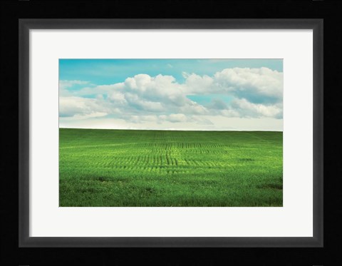 Framed Signs of Life Print