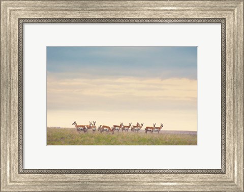 Framed Strength in Numbers Print