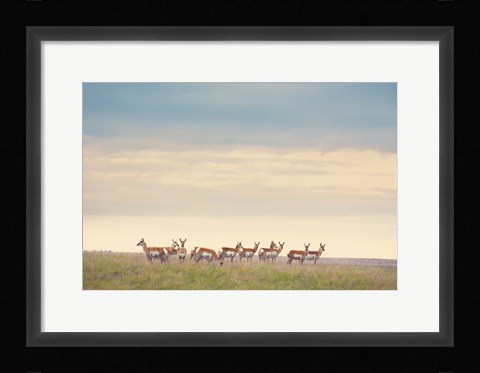 Framed Strength in Numbers Print