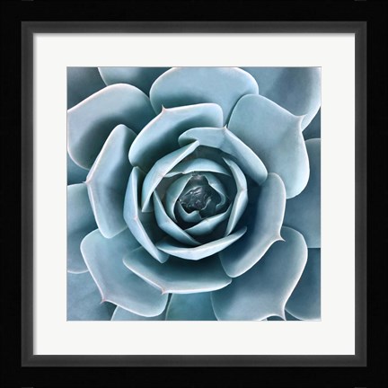 Framed After the Rain Print