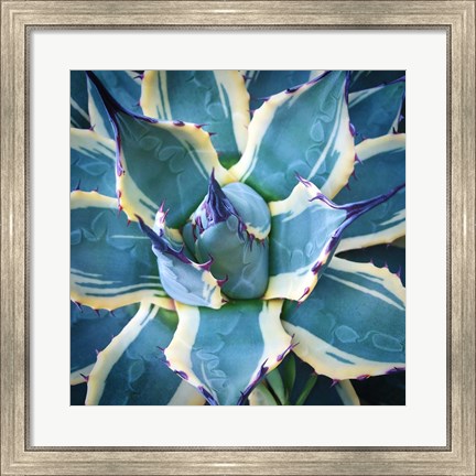 Framed Elegant Thorns Print