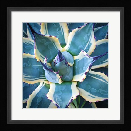 Framed Elegant Thorns Print