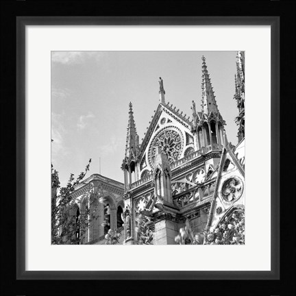 Framed Shining Star of Paris - Notre Dame Print