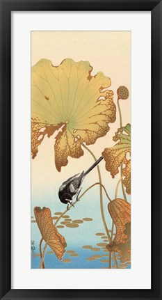 Framed Japanese Wagtail on Lotus Plant, 1925-1936 Print