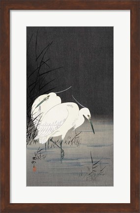 Framed Two Egrets in the Reeds, 1900-1930 Print