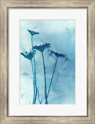 Framed Blue Anne Print