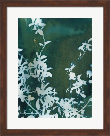 Framed Dark Garden Print