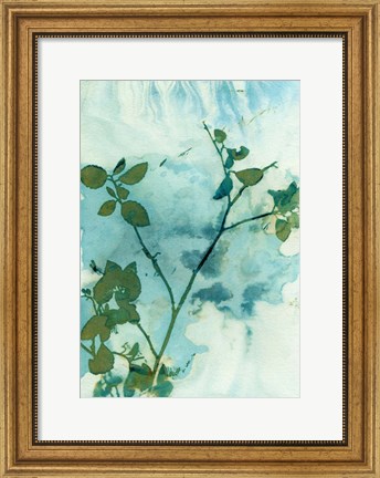 Framed Leaves and Sky Print