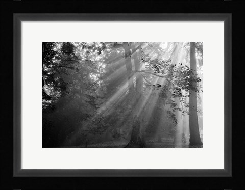 Framed In a Haze Print