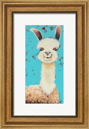 Framed Llama Sue Print