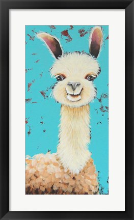 Framed Llama Sue Print