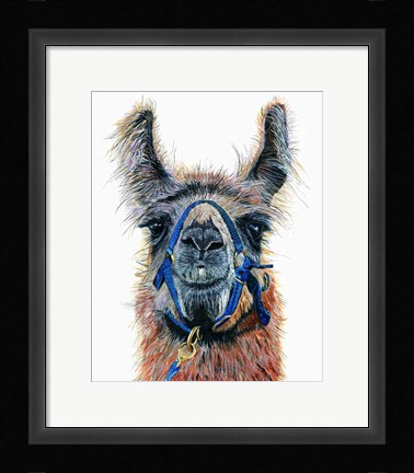 Framed Dalai Llama Print