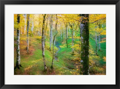 Framed Dream of Birches Print