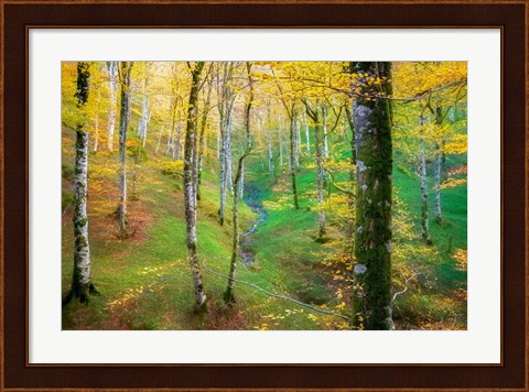 Framed Dream of Birches Print