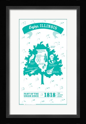 Framed Illinois Print
