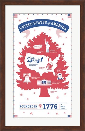 Framed USA Print