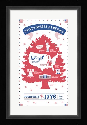 Framed USA Print
