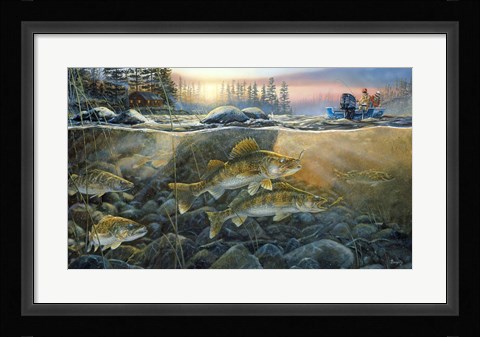 Framed Walleyes On The Rocks Print