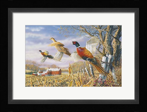 Framed High Field Flush Print