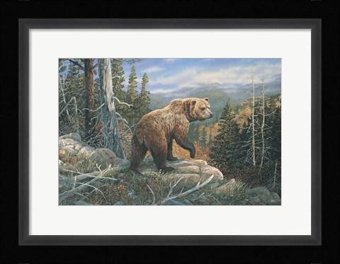 Framed Grizzlies Domain Print