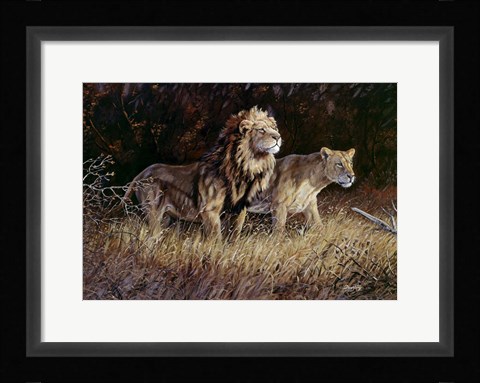 Framed Lions Print