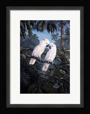 Framed Cockatoo Print