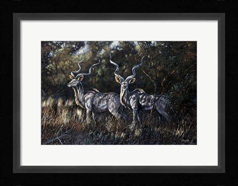 Framed Shadows Print